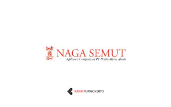 Lowongan Kerja PT Naga Semut